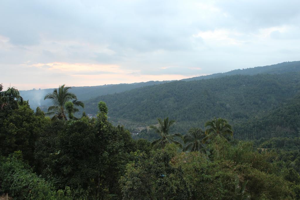 Maliana Homestay Munduk Buitenkant foto