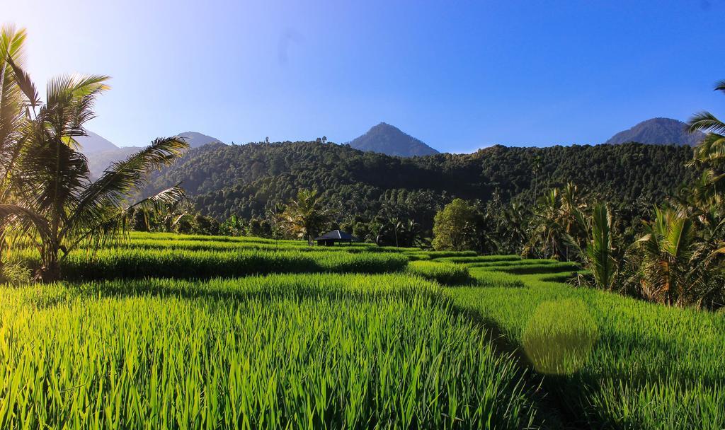 Maliana Homestay Munduk Buitenkant foto