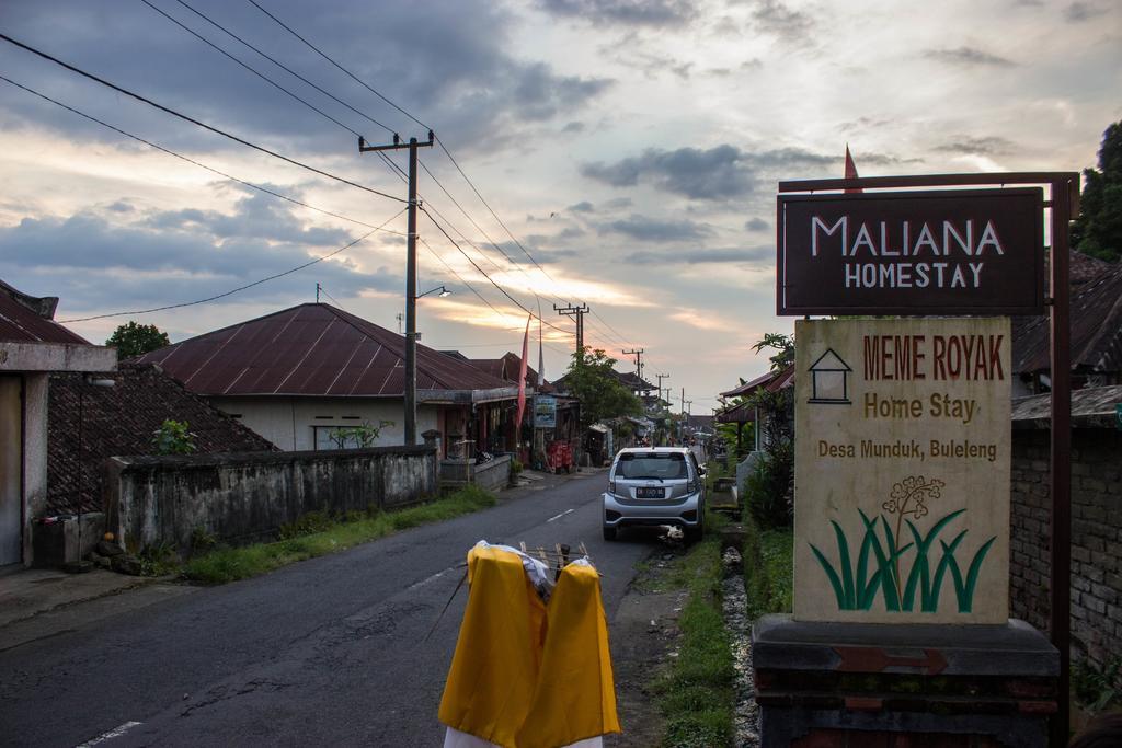 Maliana Homestay Munduk Buitenkant foto